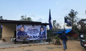 DPD Partai NasDem Toraja Utara hadirkan Rumah Kopi Restorasi, Bidik Kesejahteraan Petani, Siapkan Bibit Kopi Unggul